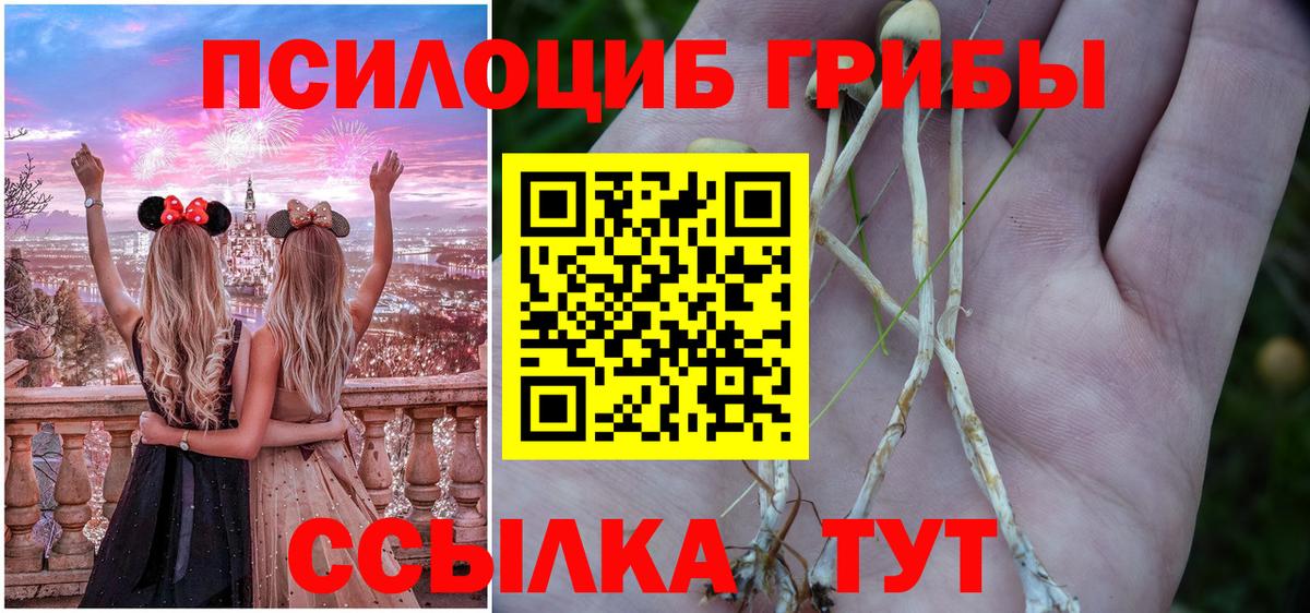 Псилоцибиновые грибы GOLDEN TEACHER Октябрьский