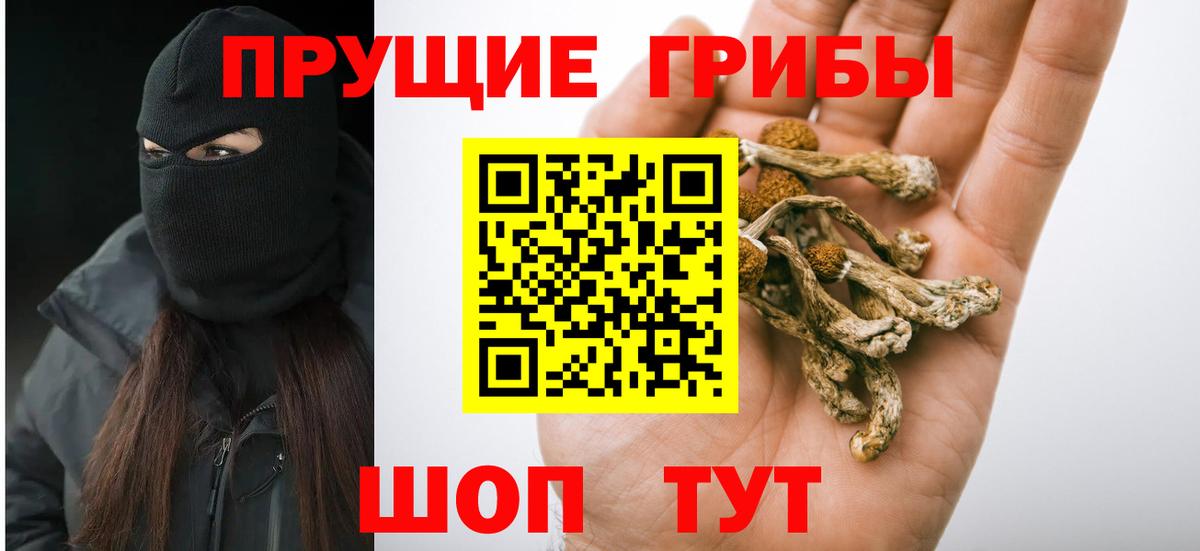 Октябрьский  продажа наркотиков  Вход с VPN  Галлюциногенные грибы Psilocybe  Псилоцибиновые грибы ЛСД 